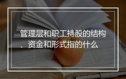 管理层和职工持股的结构、资金和形式指的什么