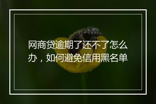 网商贷逾期了还不了怎么办，如何避免信用黑名单