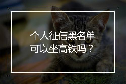 个人征信黑名单可以坐高铁吗？
