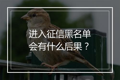 进入征信黑名单会有什么后果？