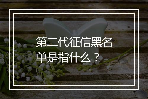第二代征信黑名单是指什么？