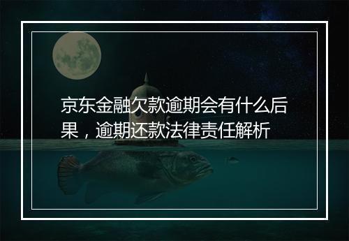 京东金融欠款逾期会有什么后果，逾期还款法律责任解析