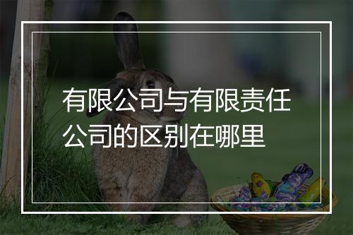有限公司与有限责任公司的区别在哪里