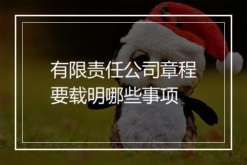 有限责任公司章程要载明哪些事项