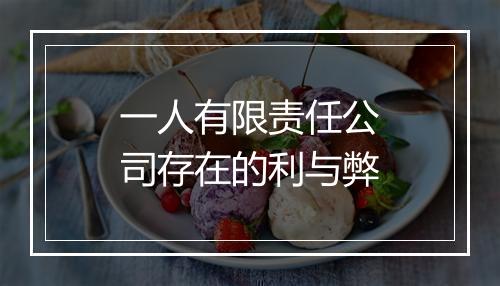 一人有限责任公司存在的利与弊