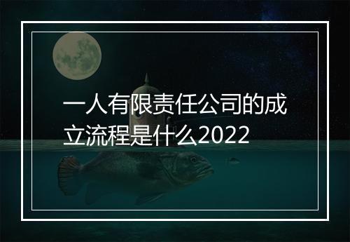 一人有限责任公司的成立流程是什么2022