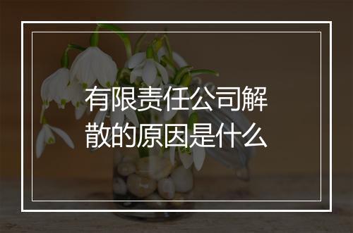 有限责任公司解散的原因是什么