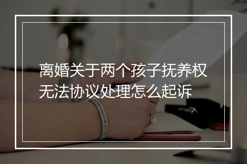 离婚关于两个孩子抚养权无法协议处理怎么起诉