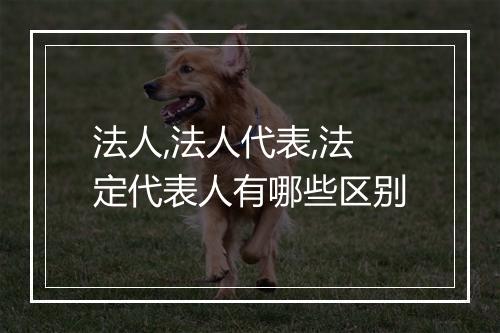 法人,法人代表,法定代表人有哪些区别
