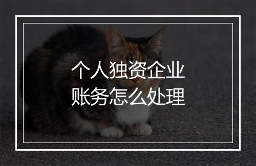 个人独资企业账务怎么处理