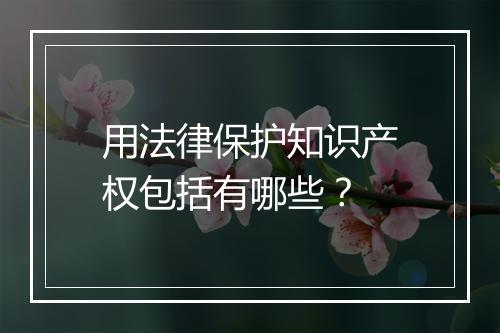 用法律保护知识产权包括有哪些？