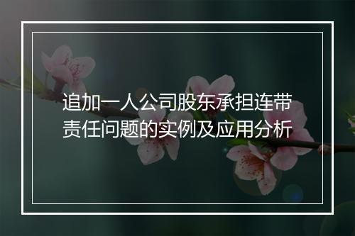 追加一人公司股东承担连带责任问题的实例及应用分析