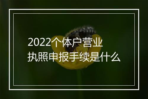 2022个体户营业执照申报手续是什么