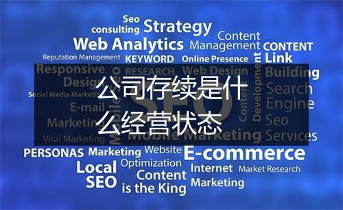 公司存续是什么经营状态