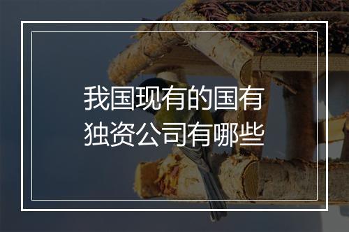 我国现有的国有独资公司有哪些