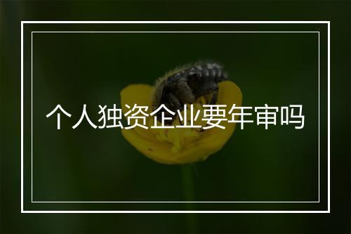 个人独资企业要年审吗