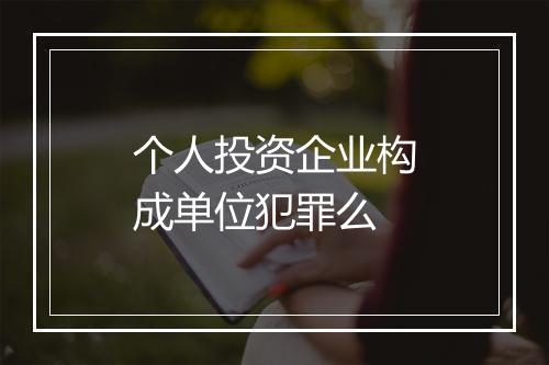 个人投资企业构成单位犯罪么