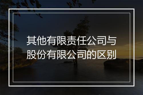 其他有限责任公司与股份有限公司的区别