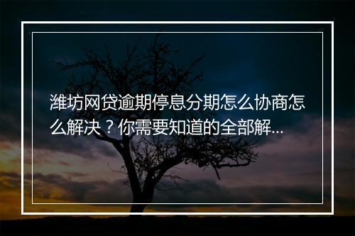 潍坊网贷逾期停息分期怎么协商怎么解决？你需要知道的全部解决