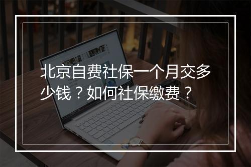 北京自费社保一个月交多少钱？如何社保缴费？