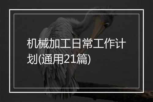机械加工日常工作计划(通用21篇)