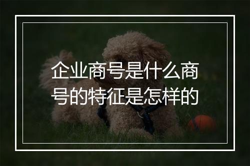 企业商号是什么商号的特征是怎样的