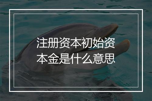 注册资本初始资本金是什么意思