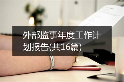 外部监事年度工作计划报告(共16篇)