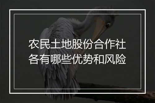 农民土地股份合作社各有哪些优势和风险