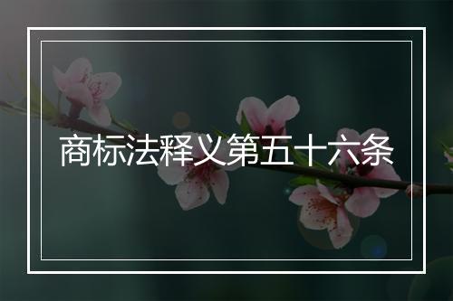 商标法释义第五十六条