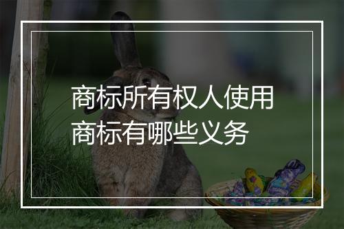 商标所有权人使用商标有哪些义务