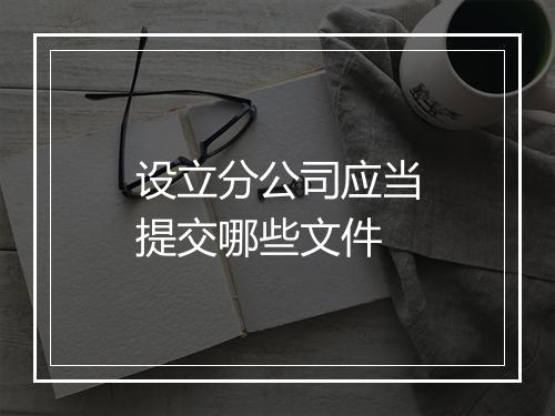 设立分公司应当提交哪些文件