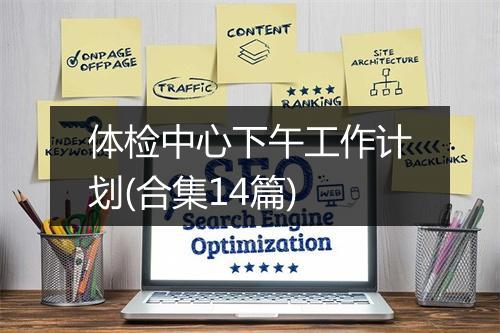 体检中心下午工作计划(合集14篇)