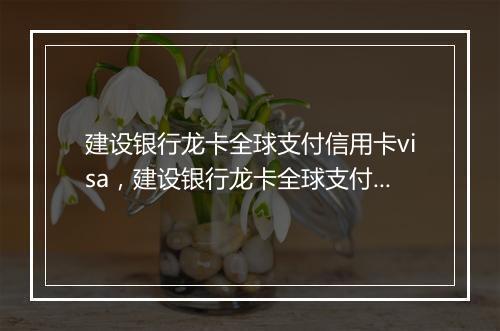 建设银行龙卡全球支付信用卡visa，建设银行龙卡全球支付信用卡