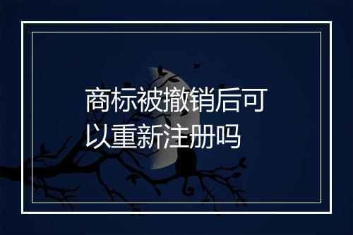 商标被撤销后可以重新注册吗