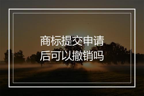 商标提交申请后可以撤销吗