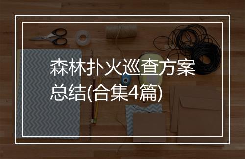 森林扑火巡查方案总结(合集4篇)