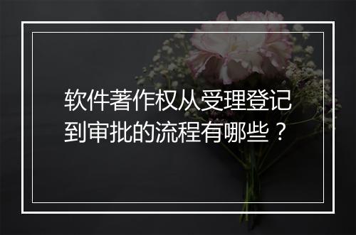 软件著作权从受理登记到审批的流程有哪些？