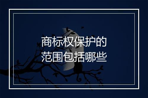 商标权保护的范围包括哪些