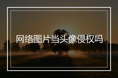 网络图片当头像侵权吗