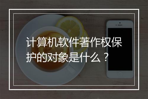 计算机软件著作权保护的对象是什么？