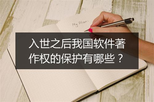 入世之后我国软件著作权的保护有哪些？