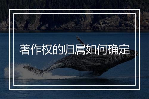 著作权的归属如何确定