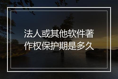 法人或其他软件著作权保护期是多久