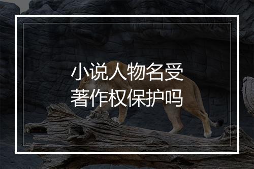 小说人物名受著作权保护吗