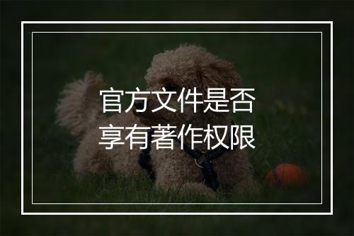 官方文件是否享有著作权限