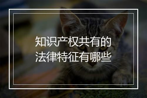 知识产权共有的法律特征有哪些