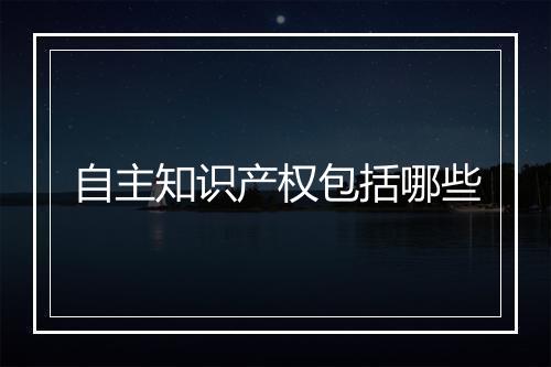 自主知识产权包括哪些
