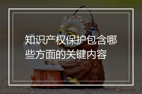 知识产权保护包含哪些方面的关键内容