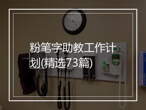 粉笔字助教工作计划(精选73篇)